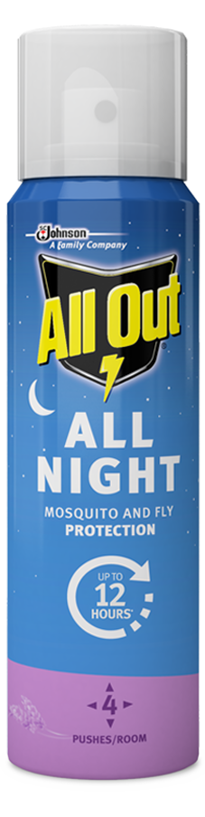 all out all night